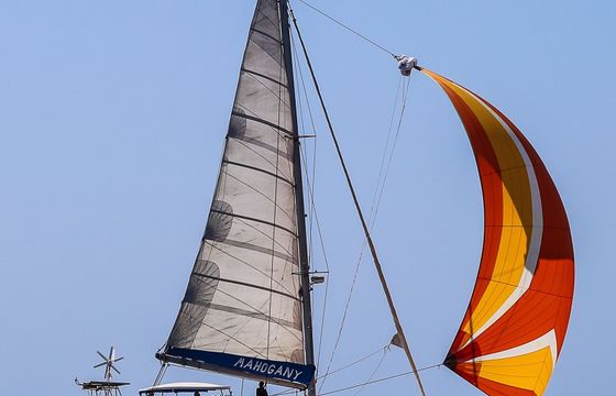 Fountaine Pajot Bahia 46 Mahogany