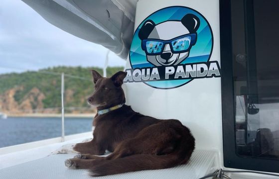 Fountaine Pajot Lucia 40 Aqua Panda