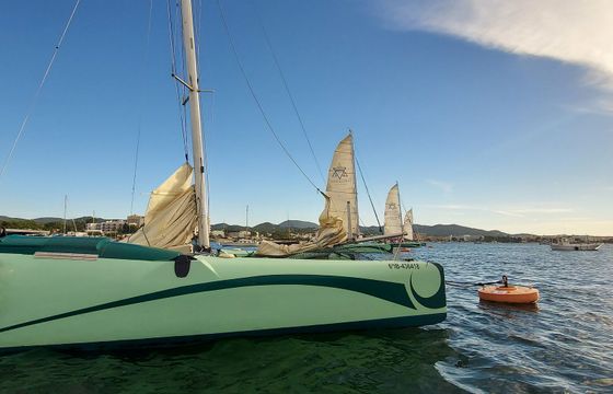 Fountaine Pajot Corneel 32 Ninja Turtle