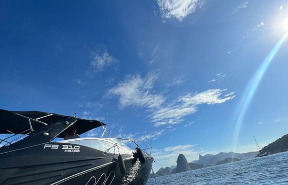 FS 310 Black Pearl