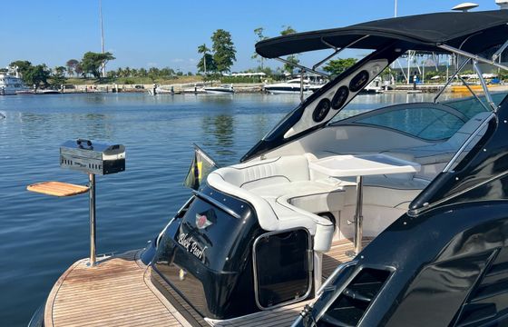 FS 310 Black Pearl