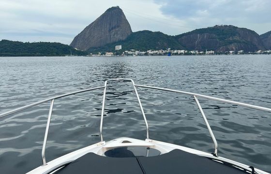 FS 310 Black Pearl