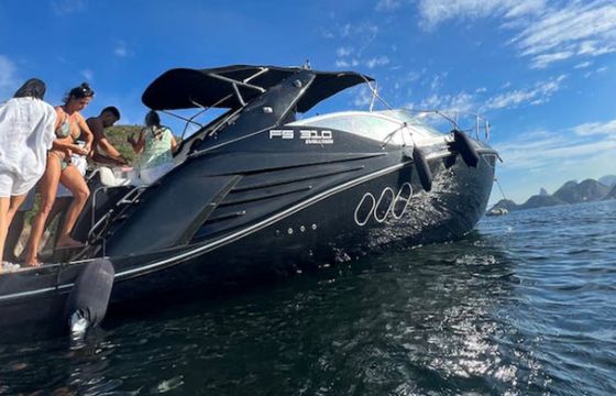 FS 310 Black Pearl