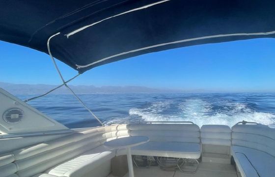 Glastron Riviera 350 Cayen