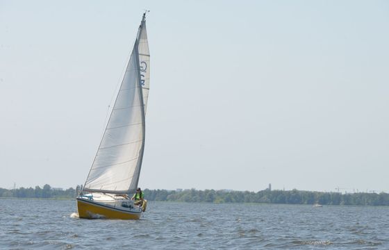 Granada 24 Rubinnen