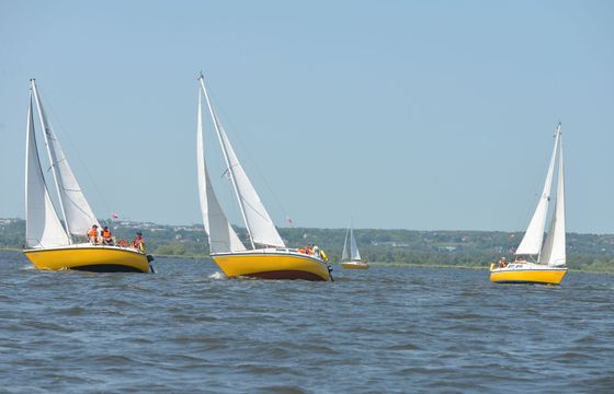 Granada 24 Rubinnen