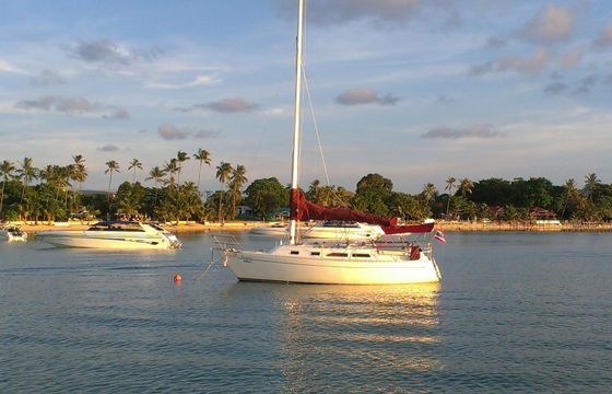 Freedom 30 Sanora
