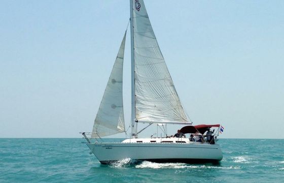 Freedom 30 Sanora