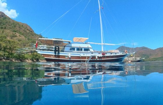 Gulet 59 Deniz Kabugu