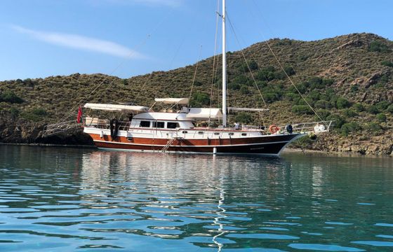 Gulet 59 Deniz Kabugu