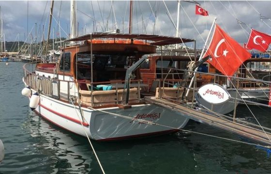 Gulet 52 Artemis 1