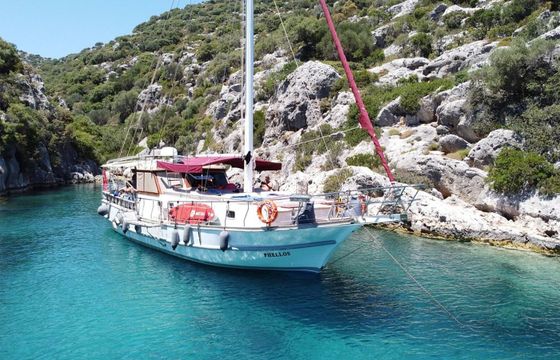 Gulet 52 Phellos
