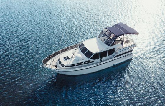 Gruno 33 Explorer Anabell