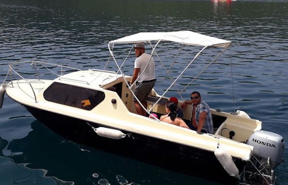 Gobbi 600 Cabin Gobbi
