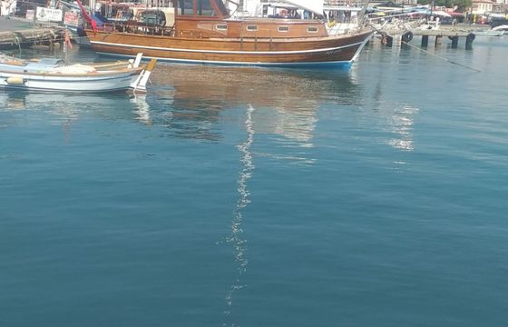 Gulet 43 Sea Gate