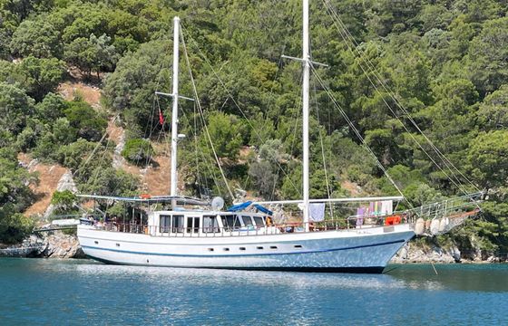 Gulet 78 Toygar
