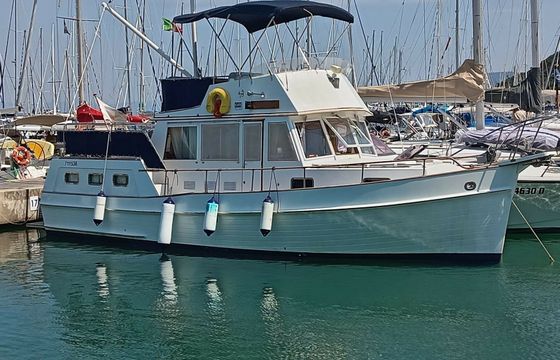 Grand Banks 32 Mango