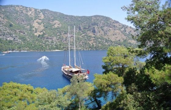 Gulet 78 Biliz