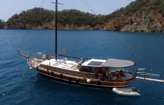 Gulet 55 Maedi