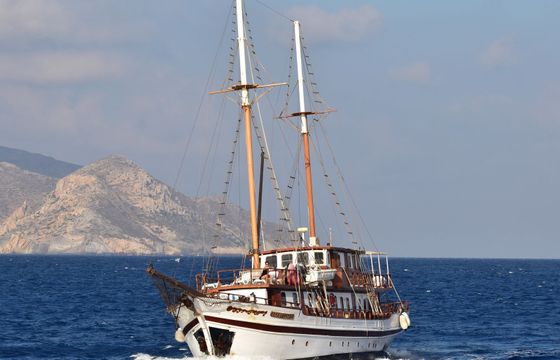 Gulet 131 Aegeotissa 2