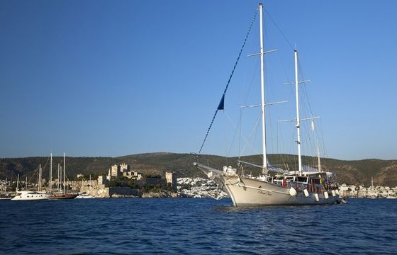 Gulet 105 Osman Kurt