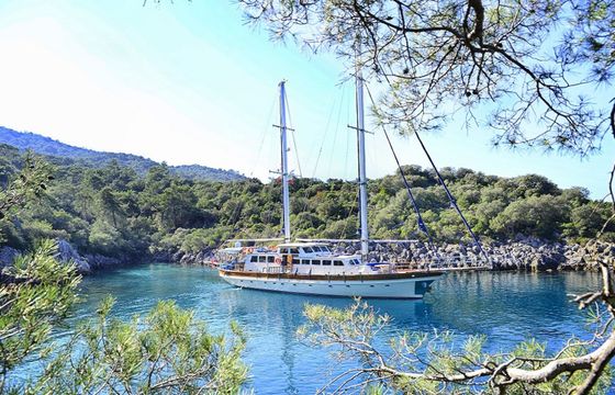 Gulet 94 Altair