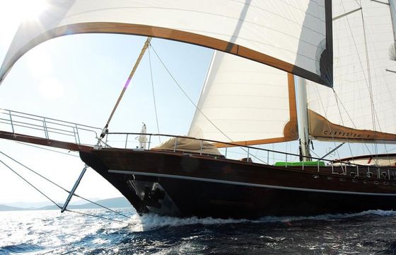 Gulet 154 Carpe Diem 5