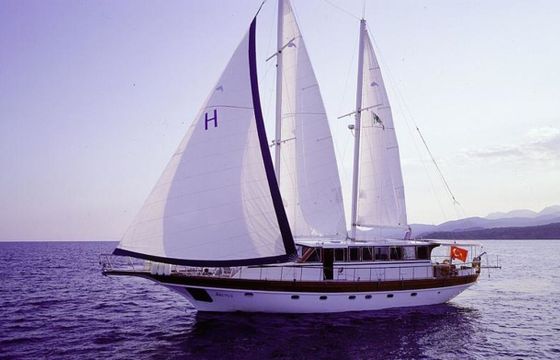 Gulet 79 Brutus