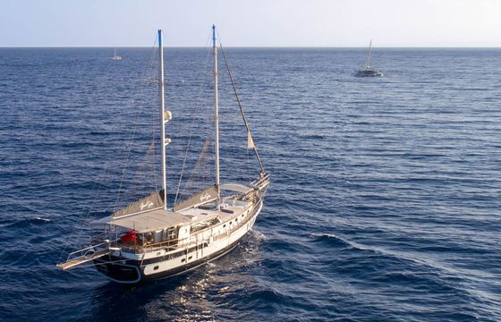 Gulet 79 Grand Sailor