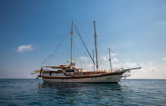 Gulet 79 Oasis 2