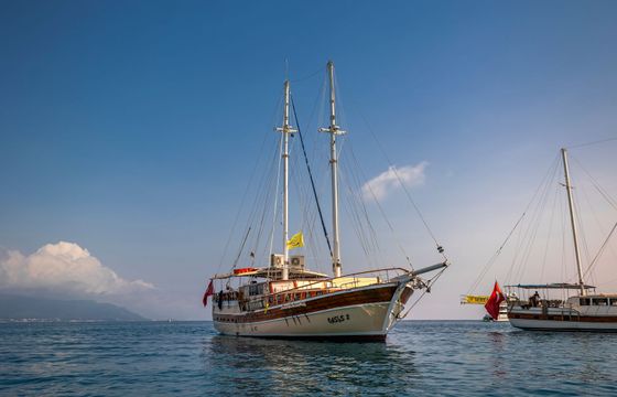 Gulet 79 Oasis 2