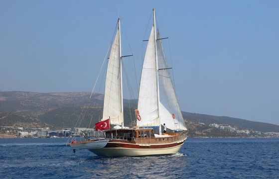 Gulet 62 Remo