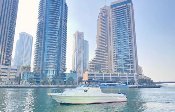 Gulf Craft 31 Walkaround DT1191