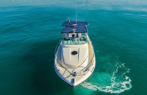 Gulf Craft 31 Walkaround DT1191