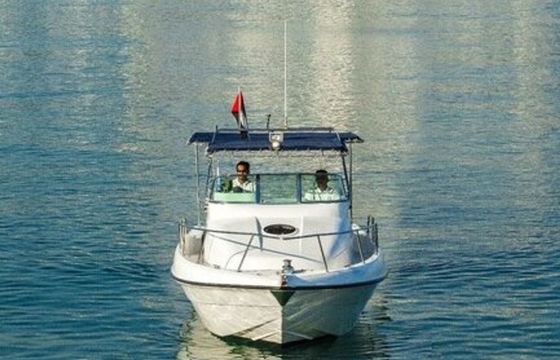 Gulf Craft 31 Walkaround DT1191