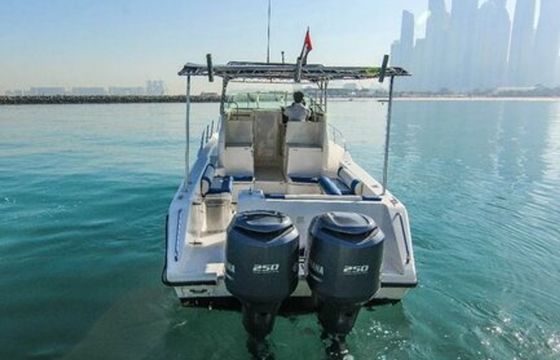 Gulf Craft 31 Walkaround DT1191