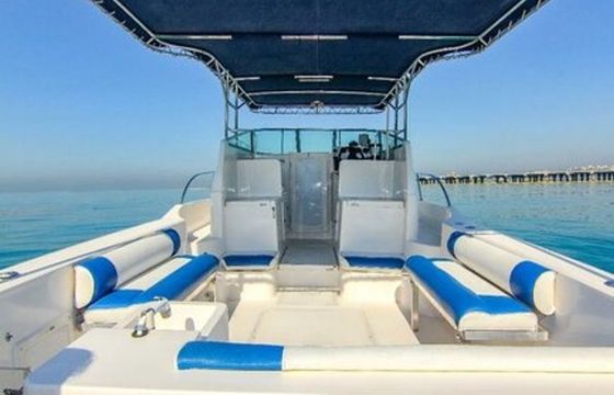 Gulf Craft 31 Walkaround DT1191