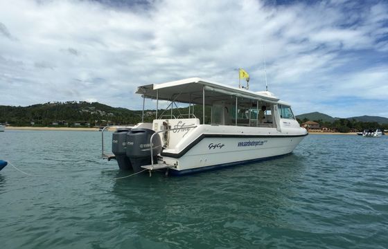 Gulf Craft 36 Sting