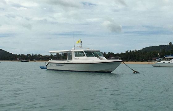 Gulf Craft 36 Sting