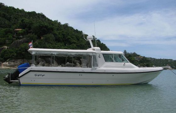 Gulf Craft 36 Sting