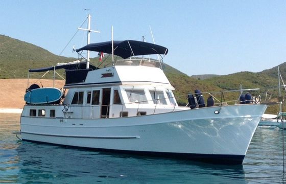 Hampton 42 Sea Lion