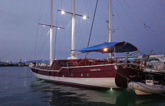Gulet 85 Pallas