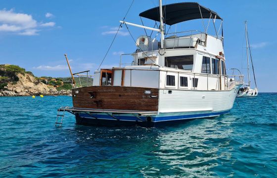 Halvorsen 40 Belmondo