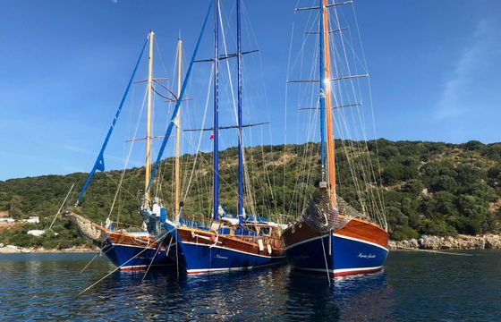 Gulet 79 Kavanca