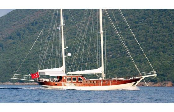Gulet 79 White Goose