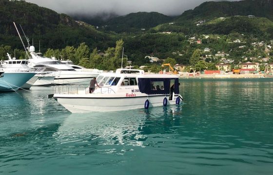 Gulf Craft 36 Kastor