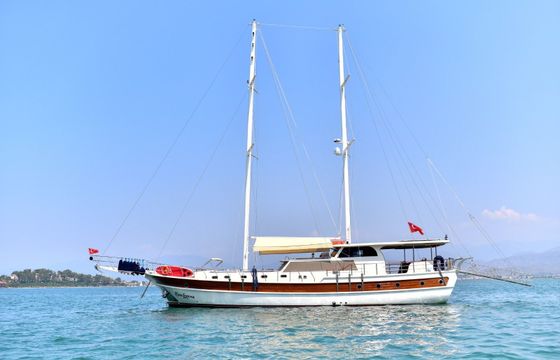 Gulet 82 Sealovers