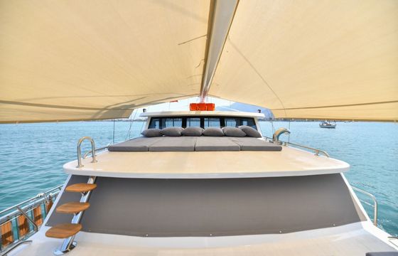 Gulet 82 Sealovers