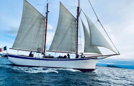 Gulet Schooner Alliance