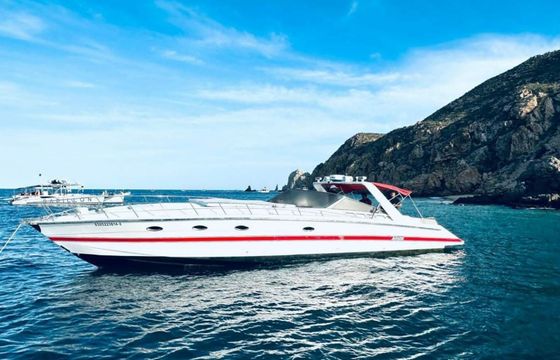 Harley Offshore 48 Adios